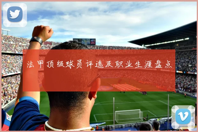 法甲顶级球员评选及职业生涯盘点